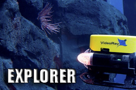 economyexplorer