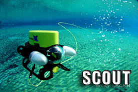economyscout