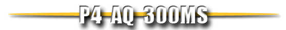 p4aq300ms text