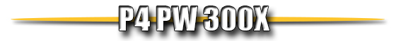 P4PW300X