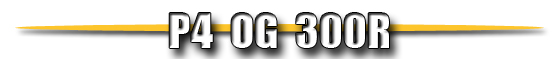 p4og300r text