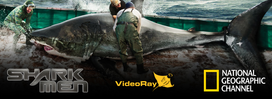 SHARKMEN1 BANNER