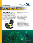 P4CD300XSV letter-1 copy