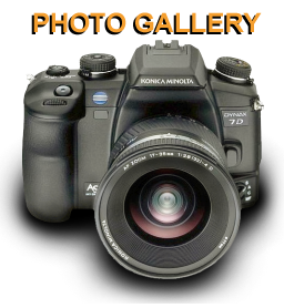 PHOTOGALLERY5ICON