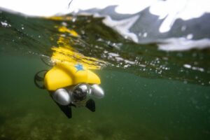 ROV operational problems.