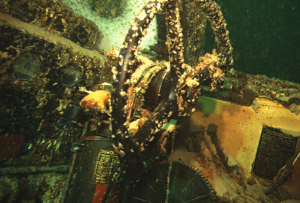 National Park Service wreck photo.