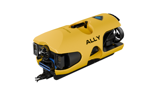 ally-edited